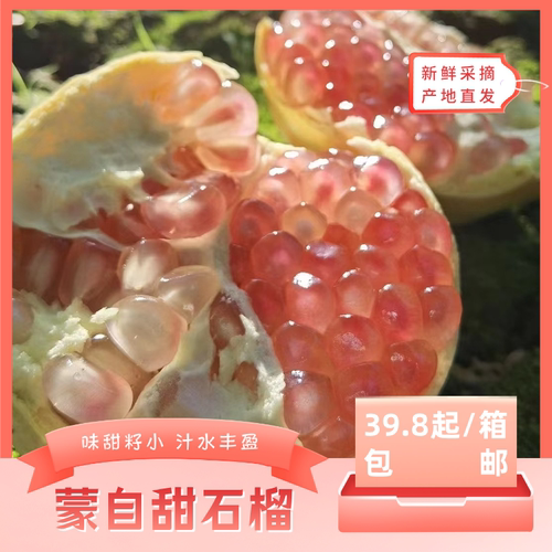 味甜籽小·汁水丰盈·精选优质果