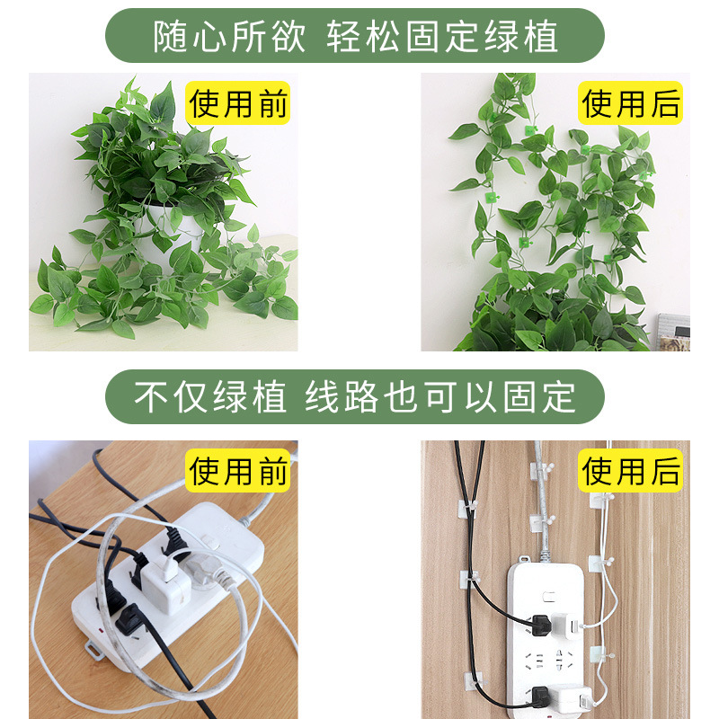 绿萝固定器A1pn088-爬上室内客厅攀爬藤蔓植物爬藤挂钩卡扣园艺工