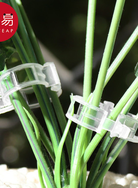 藤蔓固定夹A1pq301-绿植果树植物固定夹爬藤卡扣果蔬秧苗吊秧夹