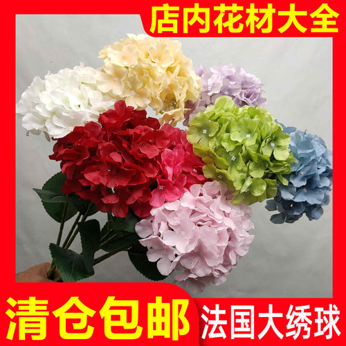法国大绣球清仓批发厂家直销