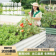种菜专用箱铝合金花箱金属种植箱户外庭院阳台一米菜园长方形花盆