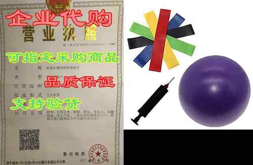 Hustar Exercise Ball Pump， Small Pilates Ball and Resista