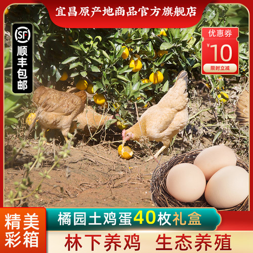 橘园土鸡蛋40枚彩箱顺丰速发
