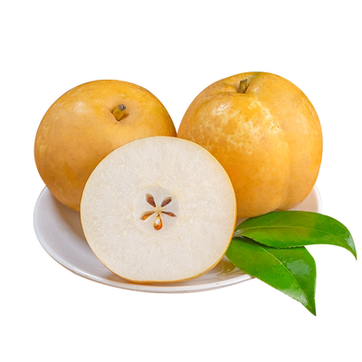 湖北百里洲砂梨大果脆甜