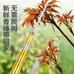 摘香椿槐花钩子加厚不锈钢可伸缩春季采摘杆多功能采摘工具神器