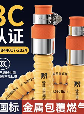 天然气专用管子燃气防爆管金属煤气灶软管液化气新国标连接导气罐