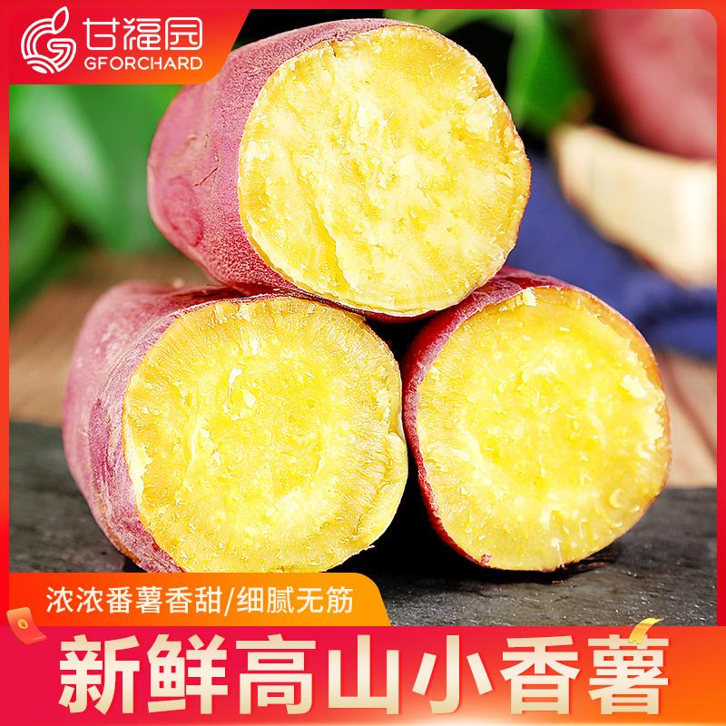 新鲜小香薯5斤 农家自种小红薯黄心板栗番薯迷你地瓜手指薯蔬菜