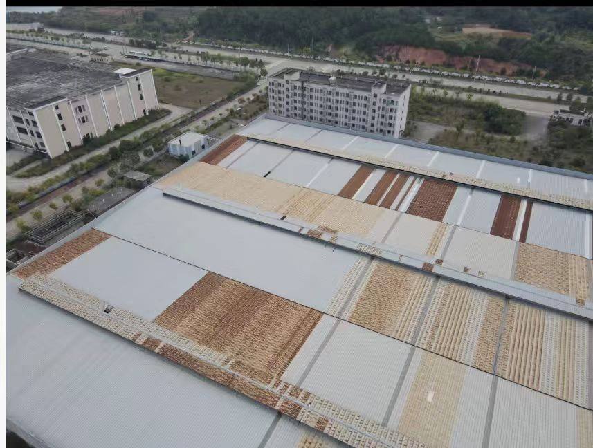 12月25日吉安农业公司国有土地使用权、房屋建筑物、及其它辅助资产网络拍卖公告