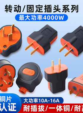 纯铜插头大功率二脚插头10a16a通用家用抗摔工地电源插头固定转动