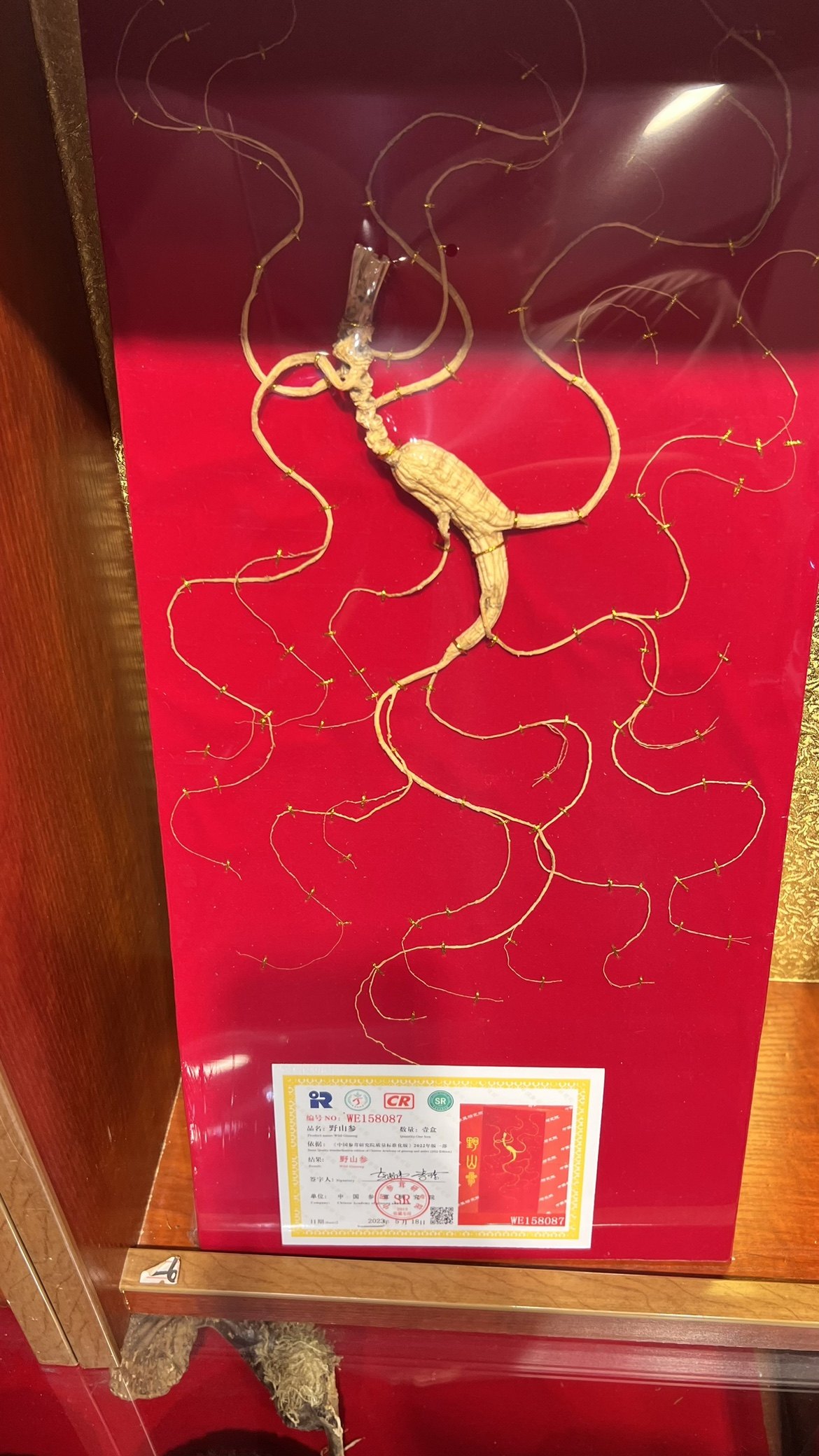 辽吉东北长白山人参礼盒林下干参老山参整枝泡酒料滋补品煲汤打粉