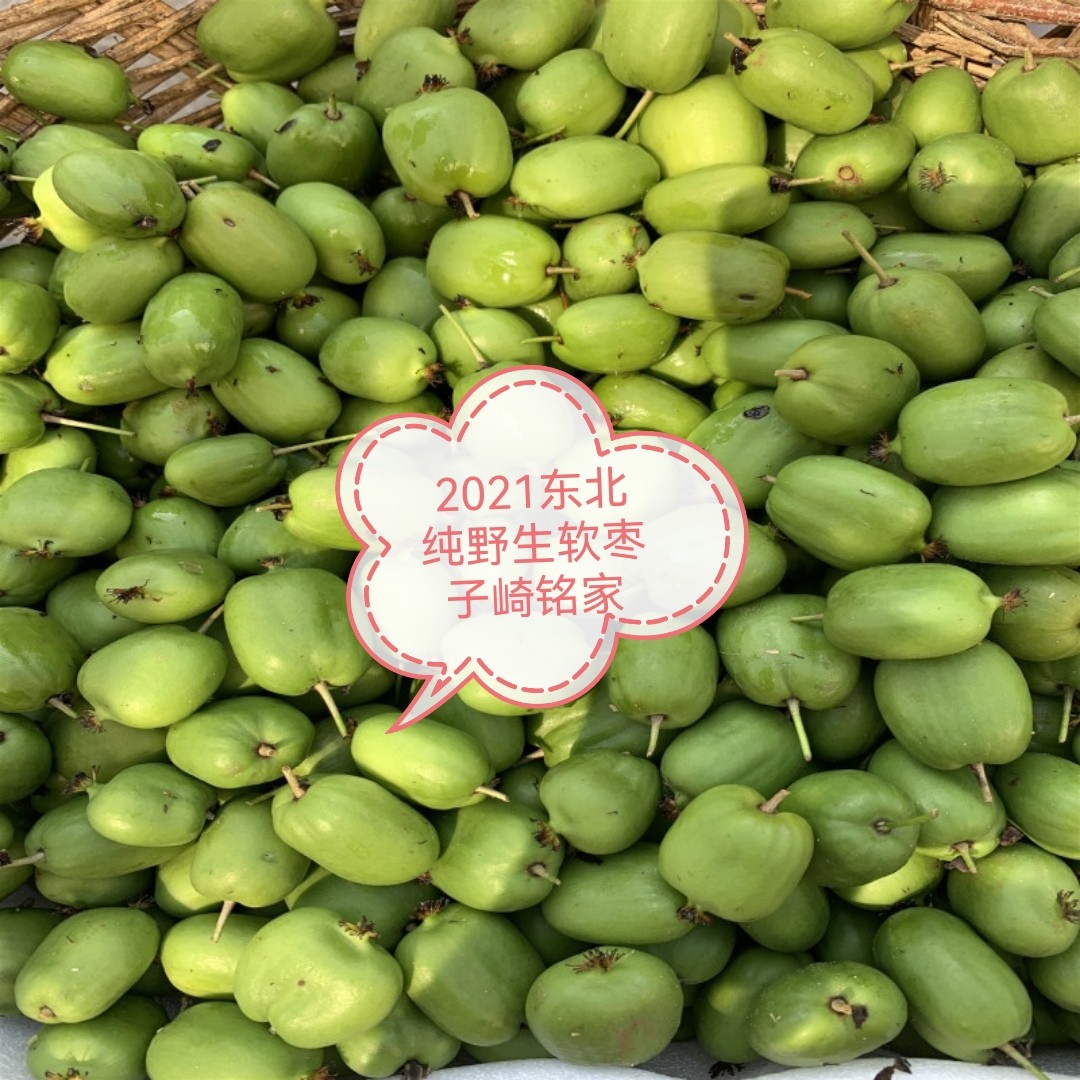 东北纯野生奇异莓已下架软枣子