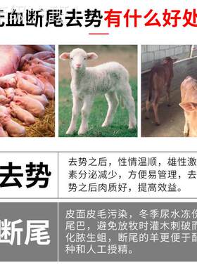 通用型家用羔小羊断羊尾器断尾圈羔去势尾扩张势钳羊神断钳用公羊