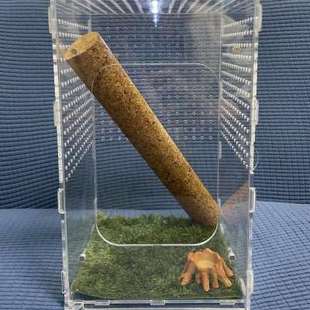 睫角守宫R属盖勾亚树蛙树栖老爷树蛙饲养箱素背螽斯鸣虫爬虫造景