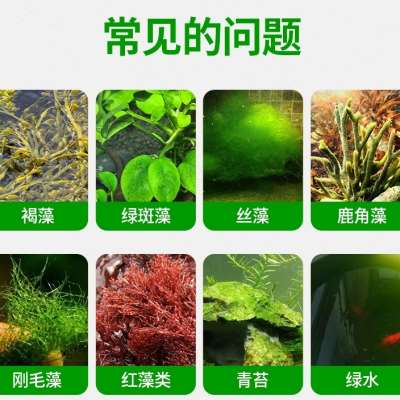 超声波除藻】鱼缸净水剂一滴清除青苔专用戊二醛鱼缸除藻剂水发绿