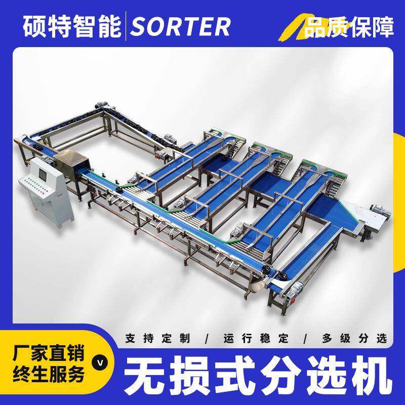 苹果无损称重分选机 防磕伤凤梨重量分拣机 呵护式草莓电脑选果机