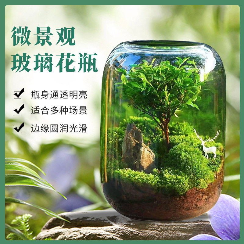 创意玻璃鱼缸苔藓造景微景观绿植鲜花瓶盆景盆栽家居玄关桌面摆件,宠物/宠物食品及用品,生态瓶/创意缸/微景缸,淘宝优惠券,粉丝福利购,淘宝优惠卷