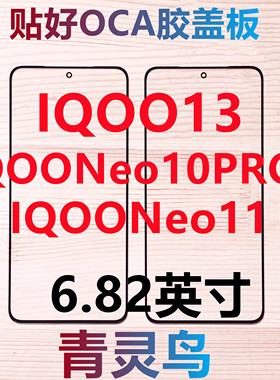 适用vivo IQOO13 IQOONeo11/10PRO+ 带OCA干胶盖板外屏玻璃