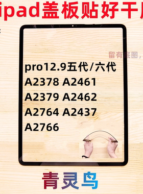 适用苹果ipad平板盖板pro12.9寸 A2378/2461/2379/2462/2764/2437