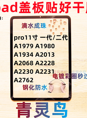 适用ipad盖板外屏pro11寸 A1979/1980/1934/2013/2068/2228/2230