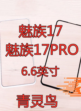 适用魅族 17  MZ 17PRO   盖板玻璃外屏面板触摸屏OCA干
