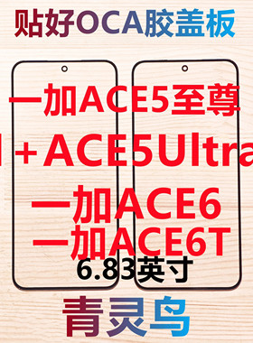 适用1+ 一加Ace5至尊版 ACE5ultra ACE6 ACE6T 带OCA胶盖板外屏