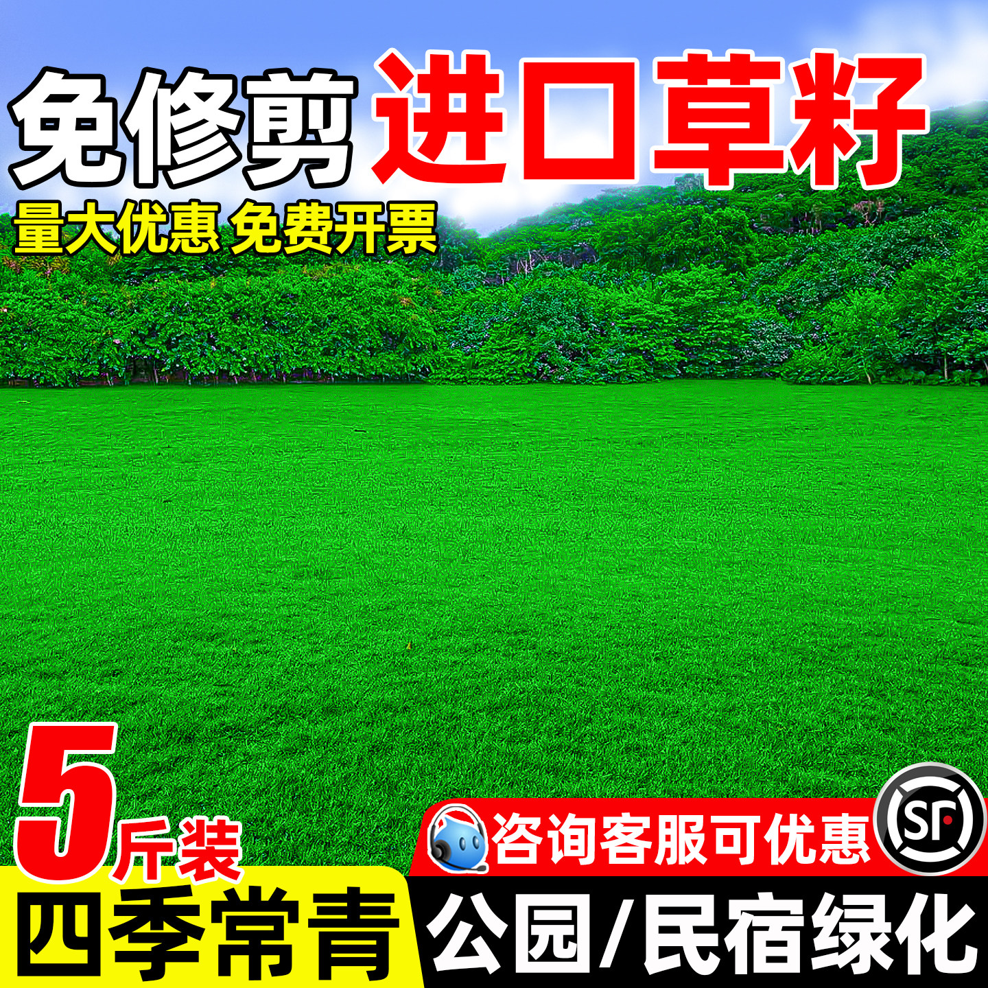 草坪草籽四季常青护坡狗牙根马尼拉矮生庭院地毯草绿化黑麦草种子