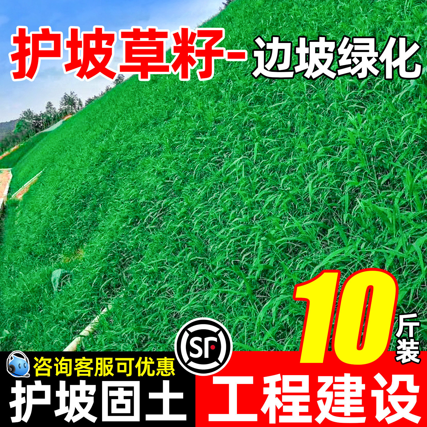 护坡固土边坡工程绿化草坪草籽