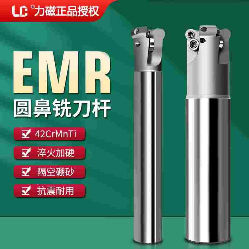 AGT圆鼻EMR铣刀杆R4/R5/R6铣床CNC数控刀具抗震立铣刀加工中心