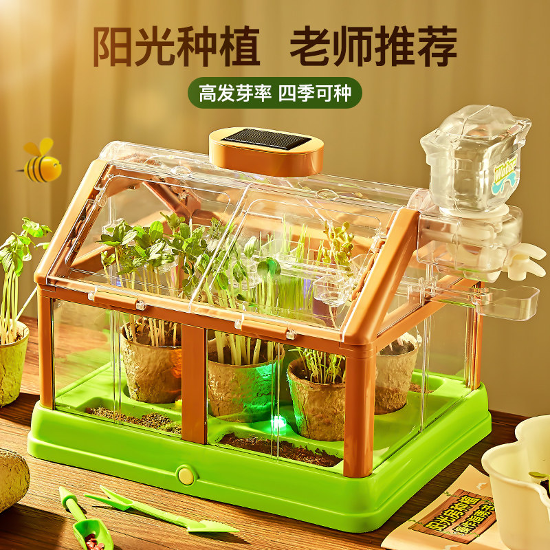 儿童种植小盆栽宝宝迷你开心农场草头长草娃娃种花幼儿园植物观察