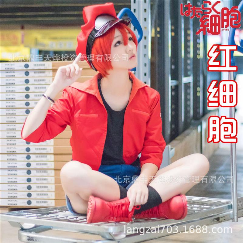 工作细胞cos红细胞cos红血球cos白细胞血小板cosplay服