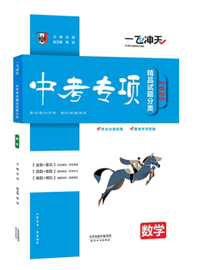 一飞冲天中考专项数学
