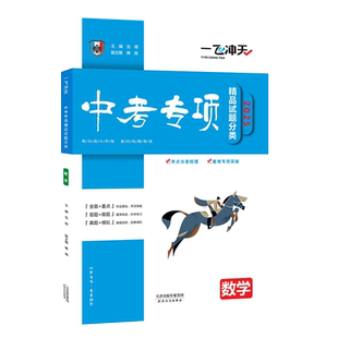 2026版天津一飞冲天中考专项精品试题分类数学初中总复习专题分项练习中考一轮复习