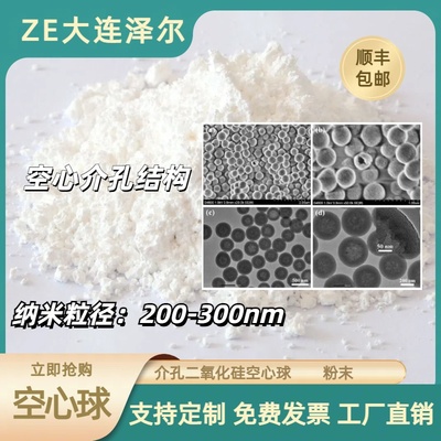 ZE泽尔 中空介孔二氧化硅 二氧化硅微球粉末 200-300nm 空心球