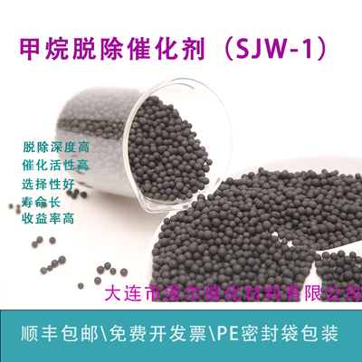 甲烷脱除催化剂大连泽尔