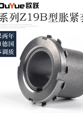 涨紧套KTR125.1Z19B免键轴套胀紧连结套涨套TLK251MLC6000胀紧套