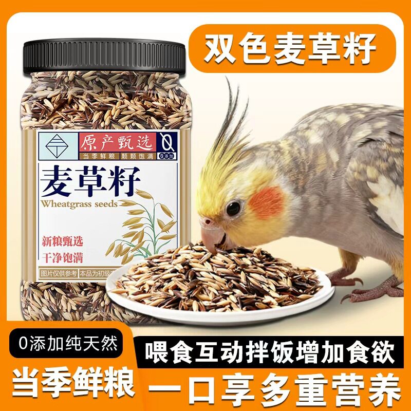 鸟粮黑麦草籽鹦鹉粮黑金麦草籽带壳燕麦虎皮牡丹鹦鹉仓鼠零食麦草