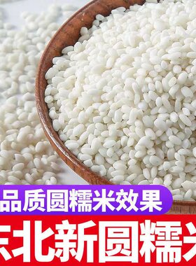 新五常圆糯米250g江米粘糯米东北白糯米黏粘大米包粽子米