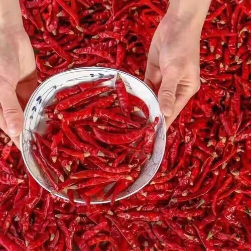 【辣椒干特辣魔鬼椒】【香辣朝天椒】魔鬼椒辣椒干100g-500g可磨