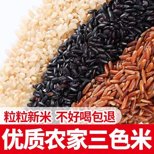 三色糙米饭2025杂粮健身低脂新三色米粗粮主食杂粮组合代餐营养
