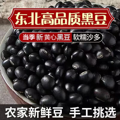 小黄心扁黑豆打豆浆小黑豆非转基因黑豆纯黑豆子农家自产