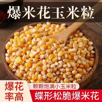 东北农家玉米粒球形电影院专用爆米花自家用蝶形食用