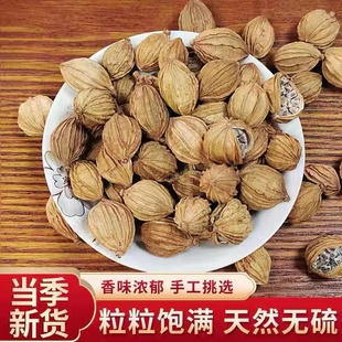 正宗去腥香砂仁香料砂仁家用商用火锅干货底料香料卤料调无硫味料