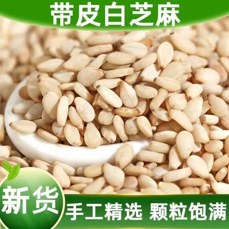 精选优质生白芝麻散装农家自产新货精选烘焙芝麻带皮生白芝麻