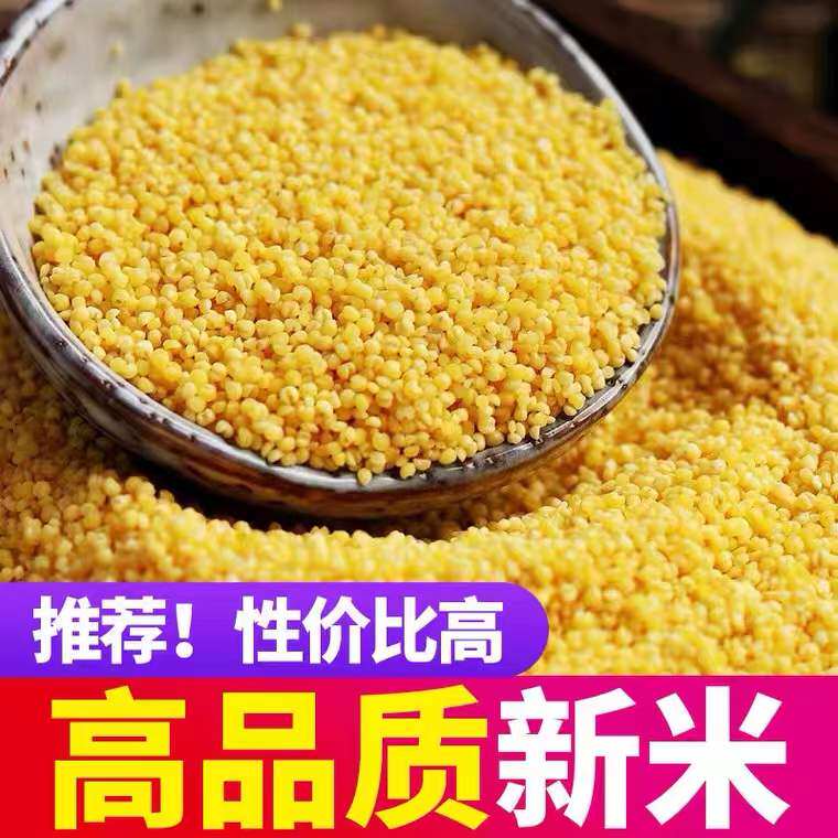 2025新黄小米粥小黄米新米山西小米养胃五谷杂粮米脂小米煮粥香糯