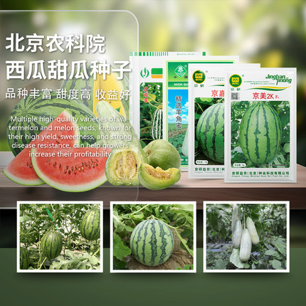 西瓜种子芝麻蜜香无籽麒麟西瓜苗网纹瓜羊角蜜农科院蔬果籽孑