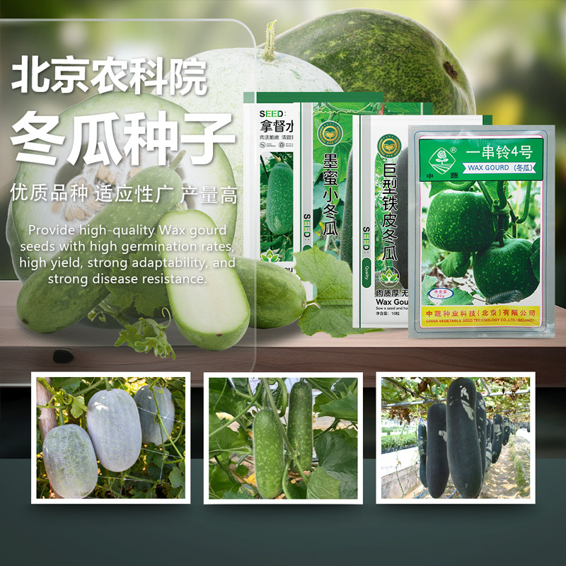 冬瓜种子黑皮粉白皮一串铃冬瓜水果迷你小绿冬瓜农科院蔬菜种籽孑