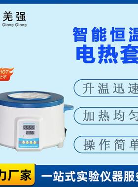 智能恒温电热套数显磁力搅拌电加热套ZNHW型数显实验室电热套