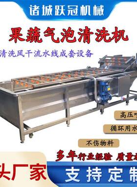 香菇松茸喷淋清洗机 蘑菇地皮菜清洗机 韭菜菠菜清洗流水线设备