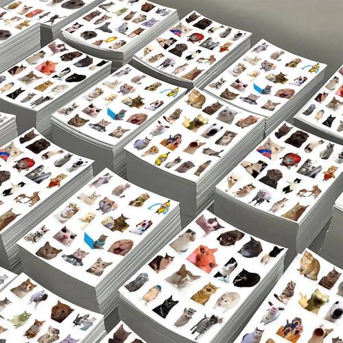 爆款猫meme贴纸沙雕抽象表情包