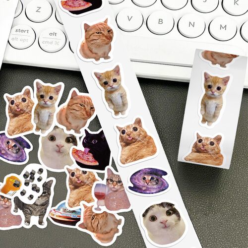 猫meme表情包卷卷贴小猫梗图素材